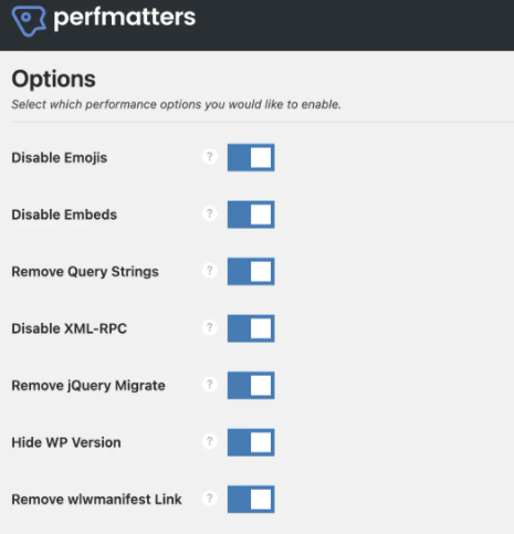 Different options in perfmatters